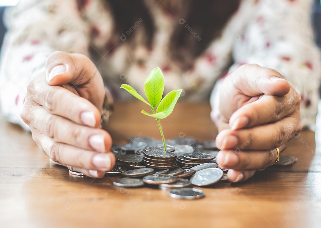 Árvore crescendo de pilha de moedas