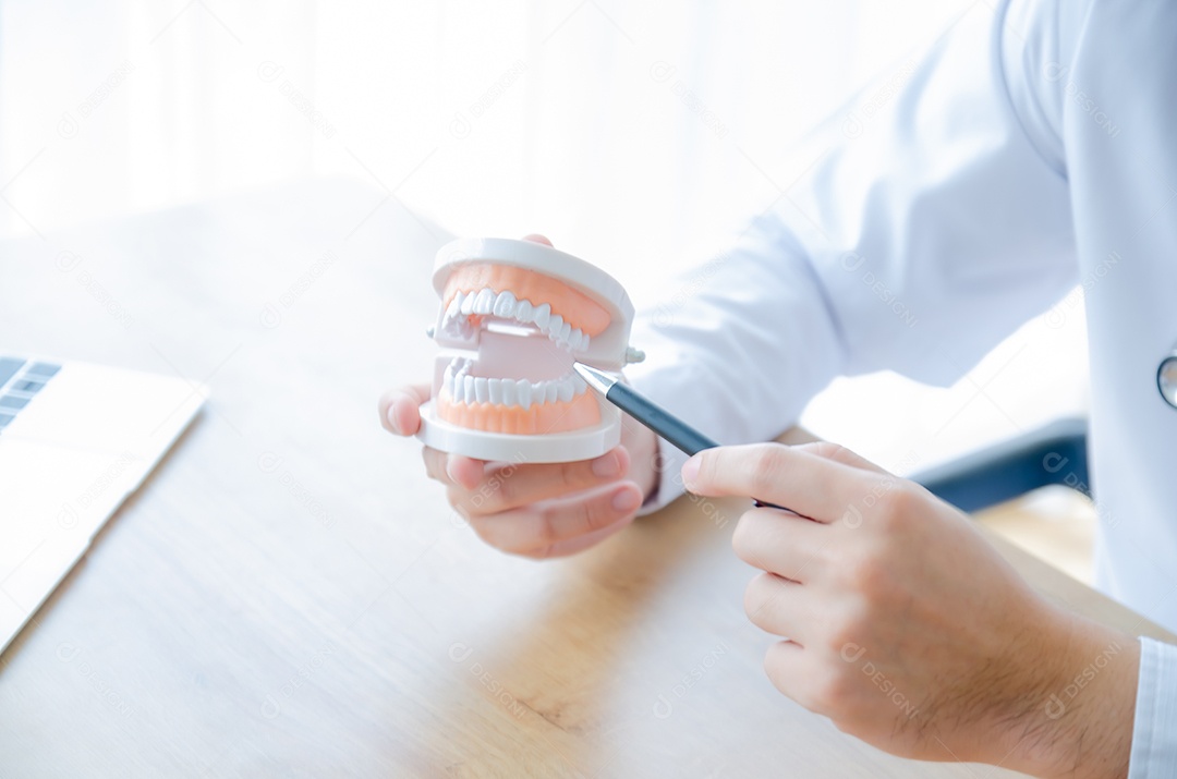 Médico apontou a estrutura do dente e explicou