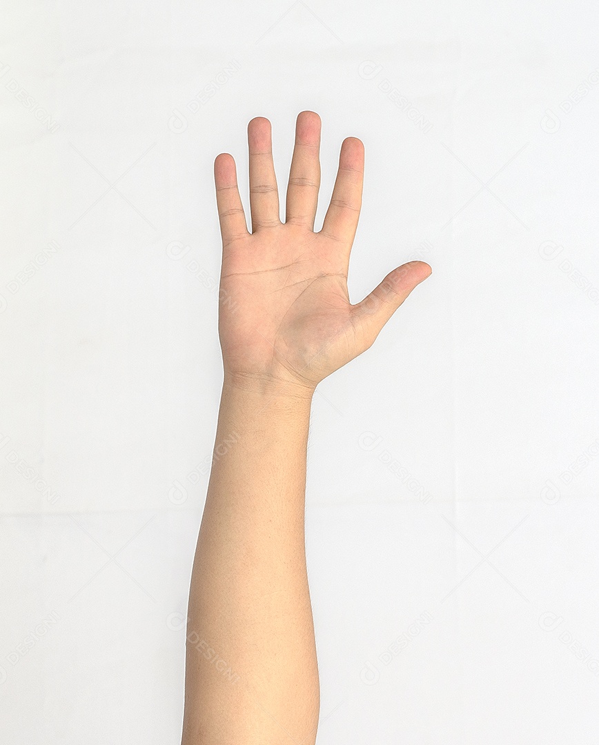 Mão isolada no fundo branco