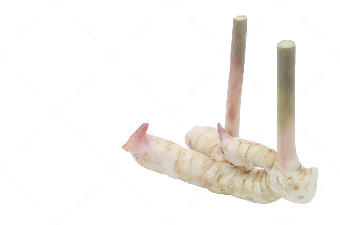 gengibre em fundo branco