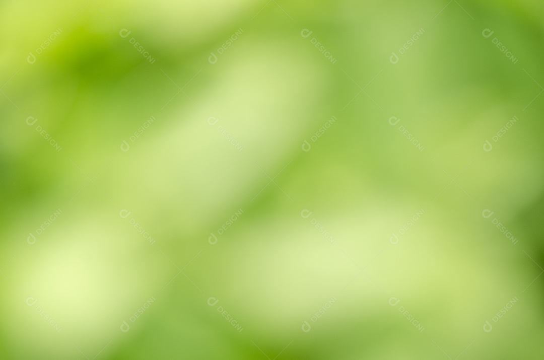 Fundo desfocado verde