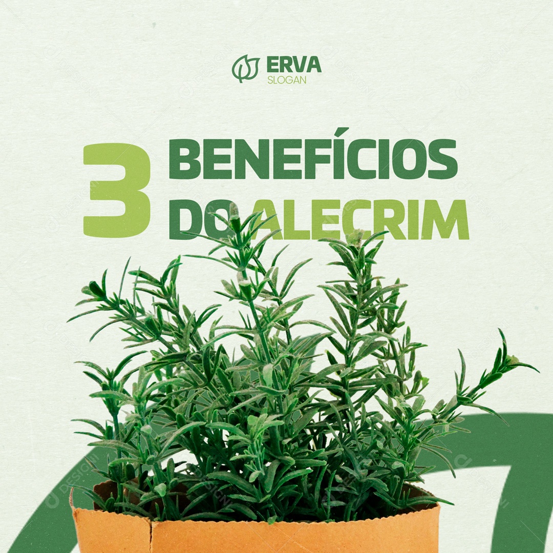 Loja de Ervas Naturais 3 Benefícios do Alecrim Social Media PSD Editável