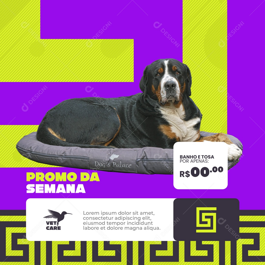 Clínica Veterinária e Pet Shop Banho e Tosa na Promoção Social Media PSD Editável