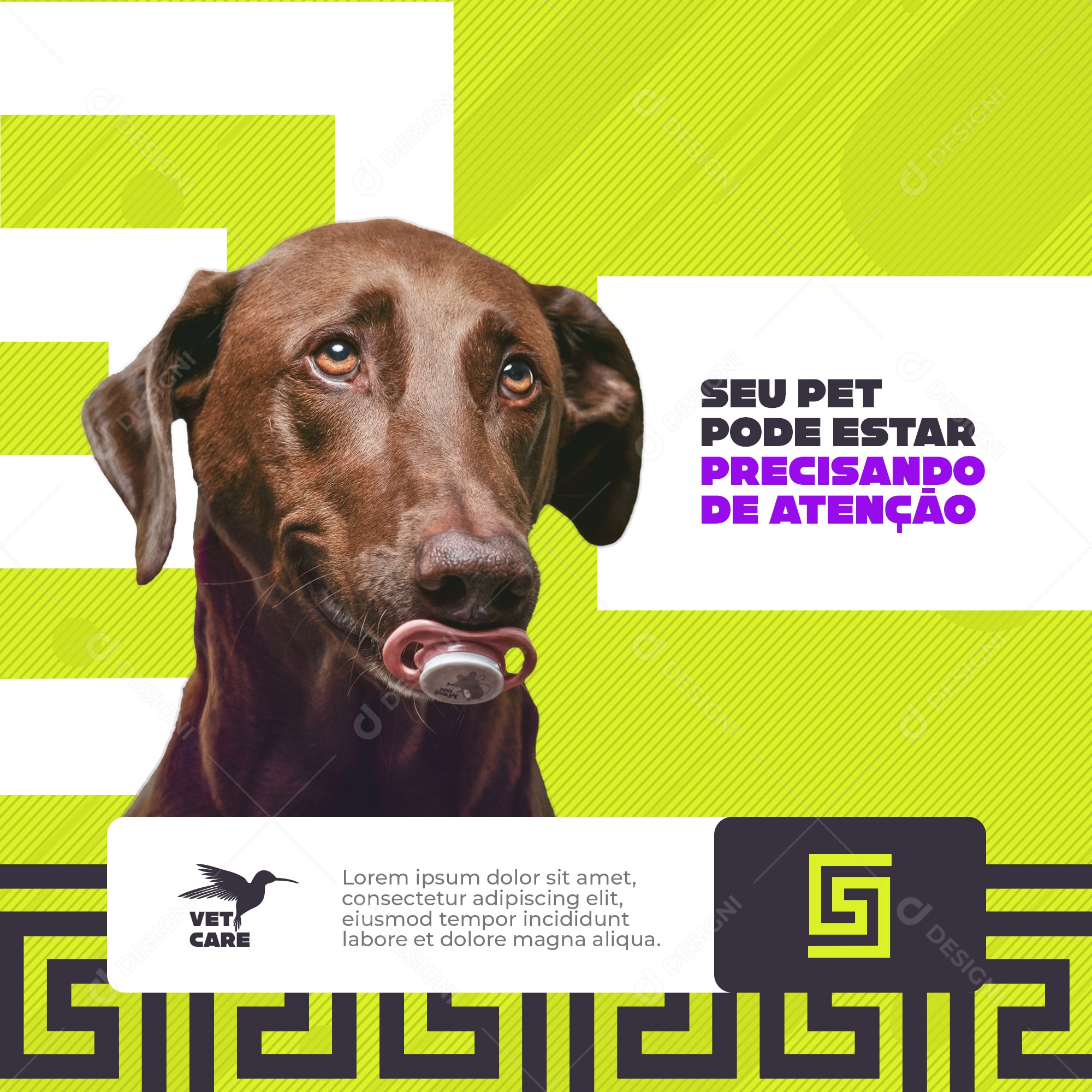 Clínica Veterinária e Pet Shop seu Pet pode estar Precisando de Atenção Social Media PSD Editável