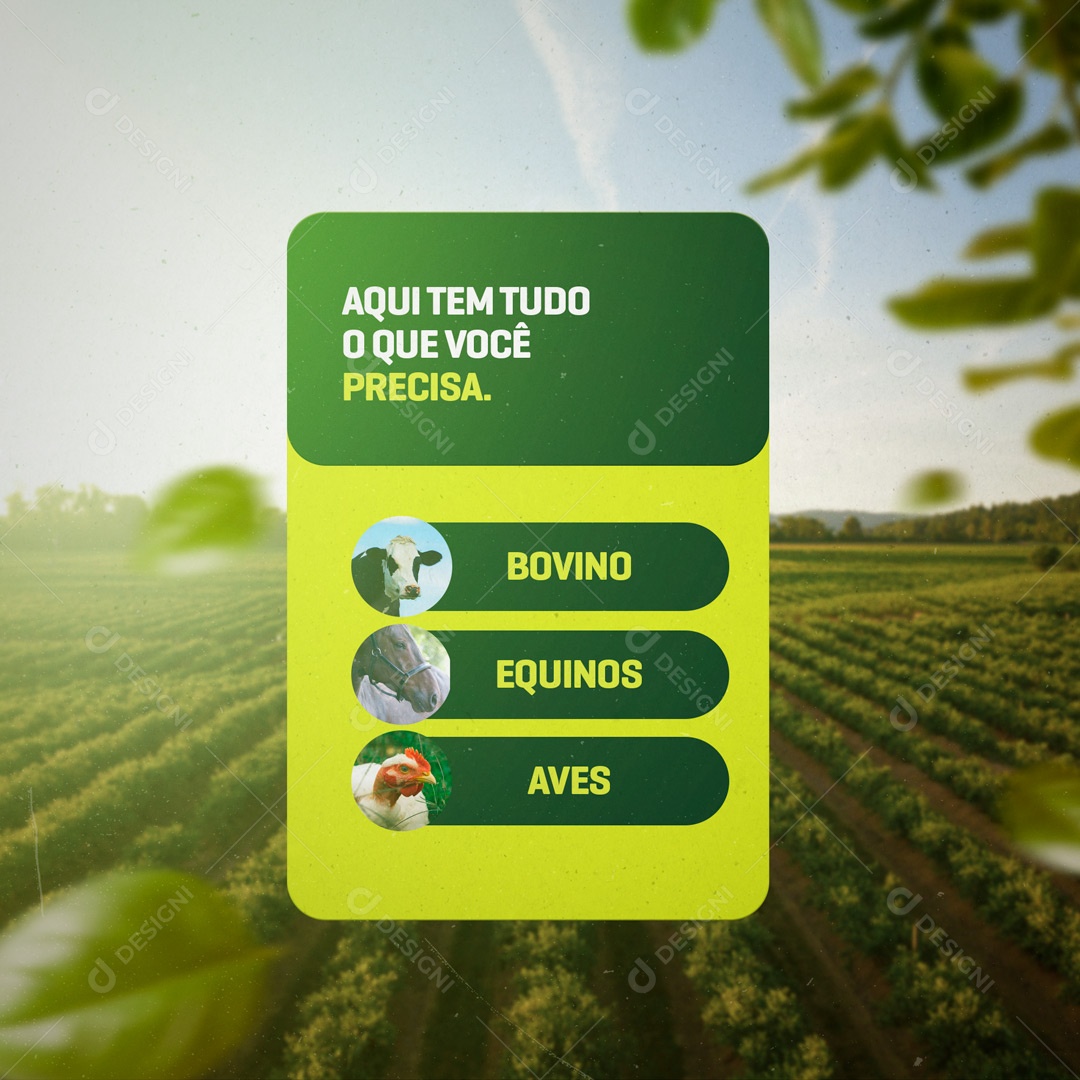 Aqui tem tudo o que você Precisa Bovino Equinos Agro Social Media PSD Editável