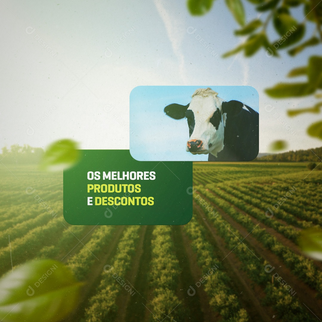 Social Media Produtos Agropecuário Agro Social Media PSD Editável