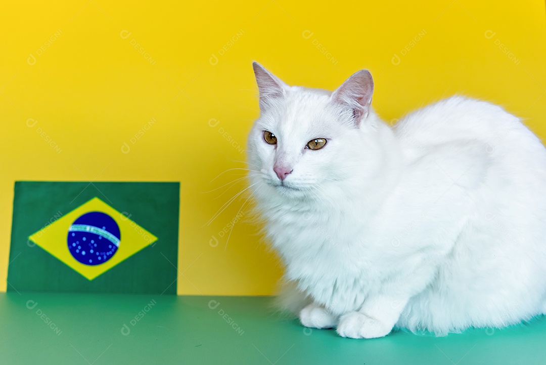 Gato branco ao lado da bandeira brasileira em background verde e amarelo