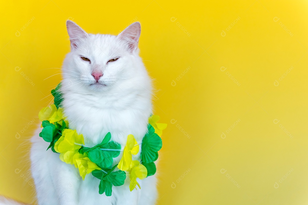 Gato branco com colar verde e amarelo sobre fundo amarelo