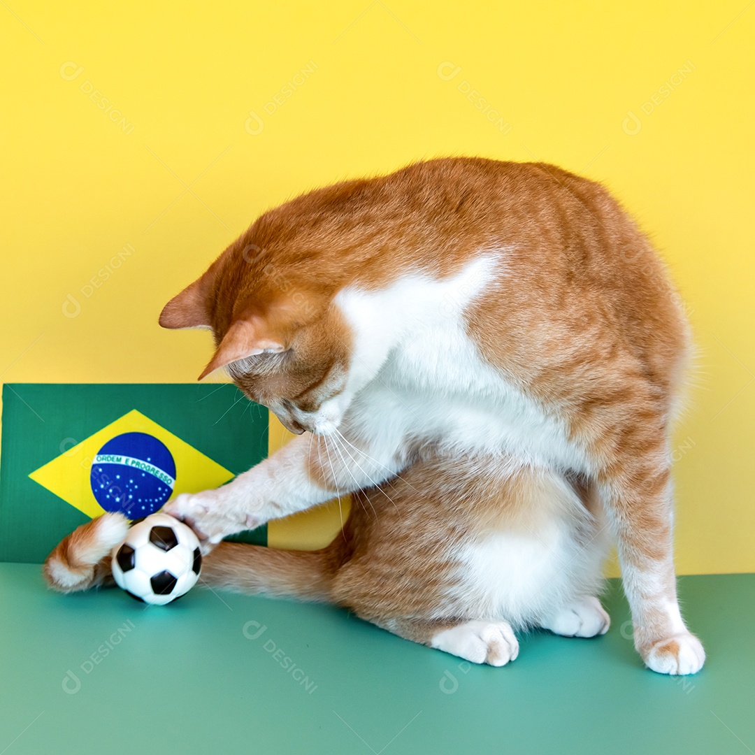 Gato amarelo jogando futebol ao lado da bandeira brasileira