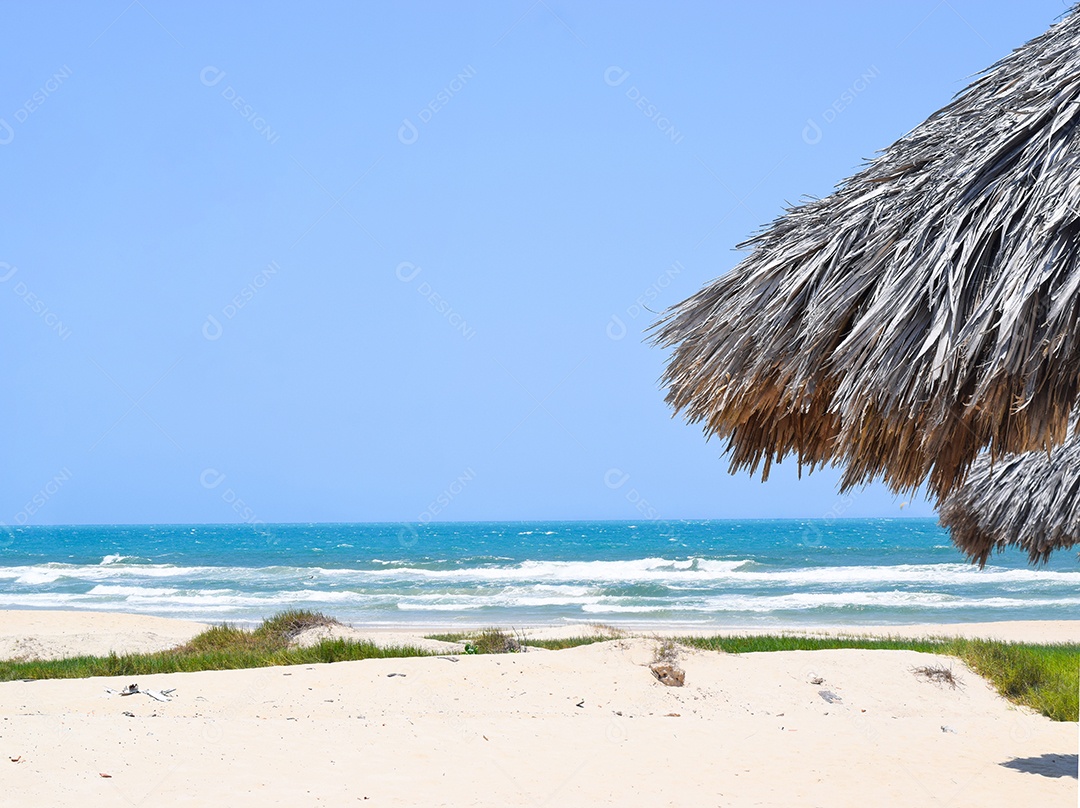 Vista de Praia Com Mar Água Azul