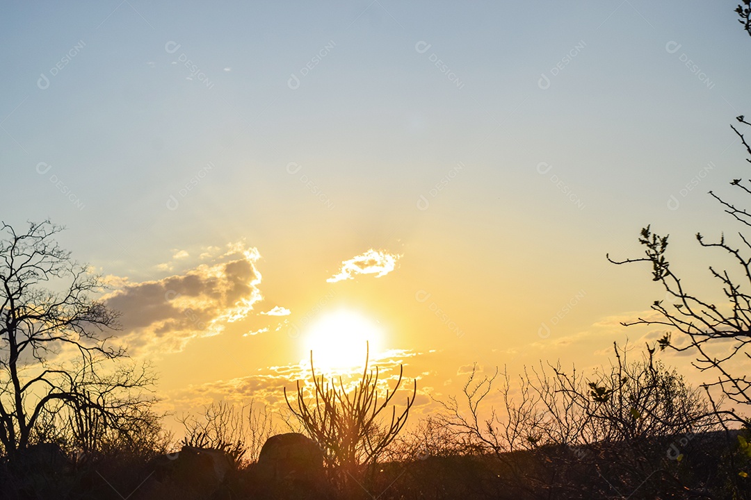 Linda Vista de Pôr do Sol