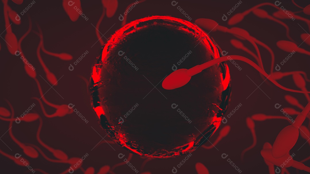 Esperma e ovo. Adubação natural. renderização em 3D