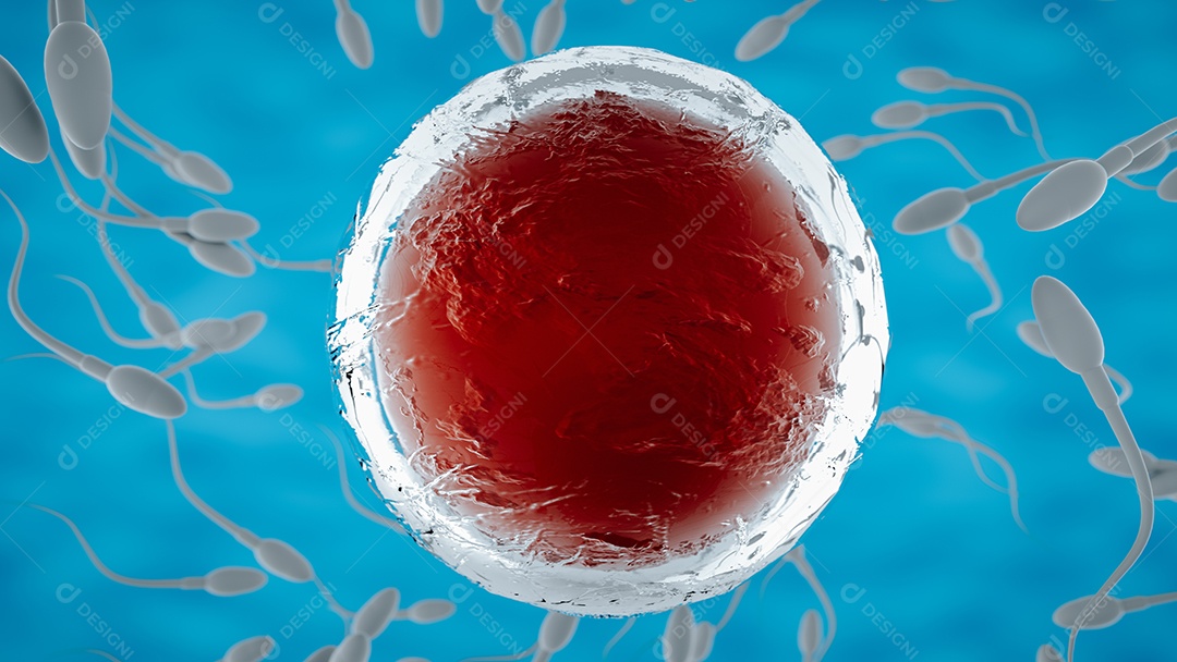 Esperma e ovo. Adubação natural. renderização em 3D