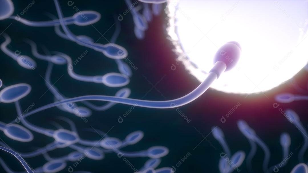 Esperma e ovo. Adubação natural. renderização em 3D