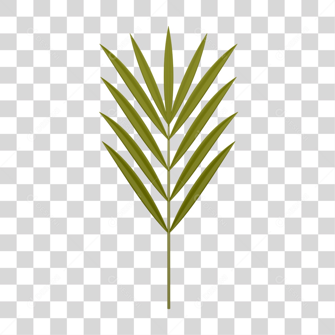 Ramo PNG Transparente