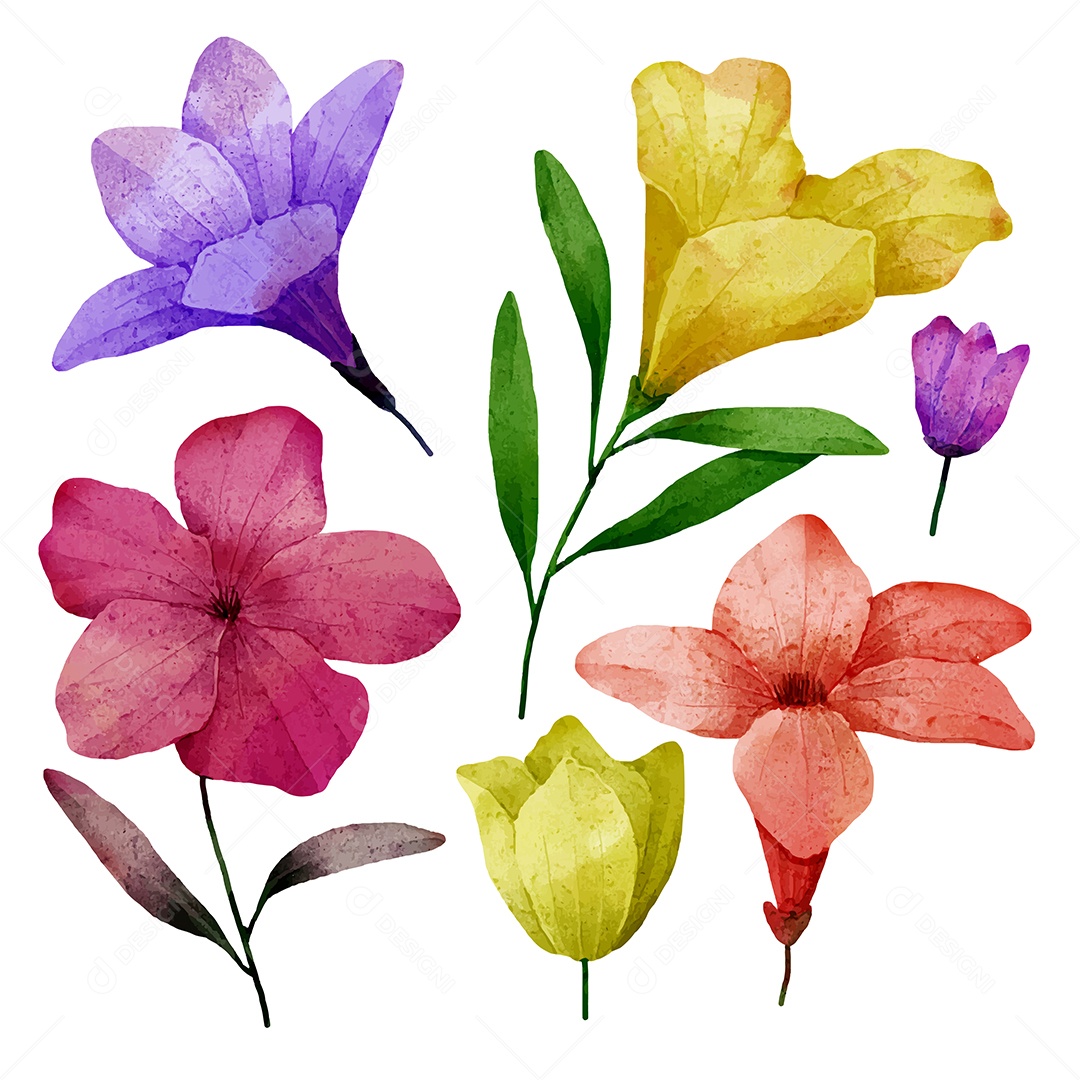 Lindo buquê de flores e deixe para decoração em água