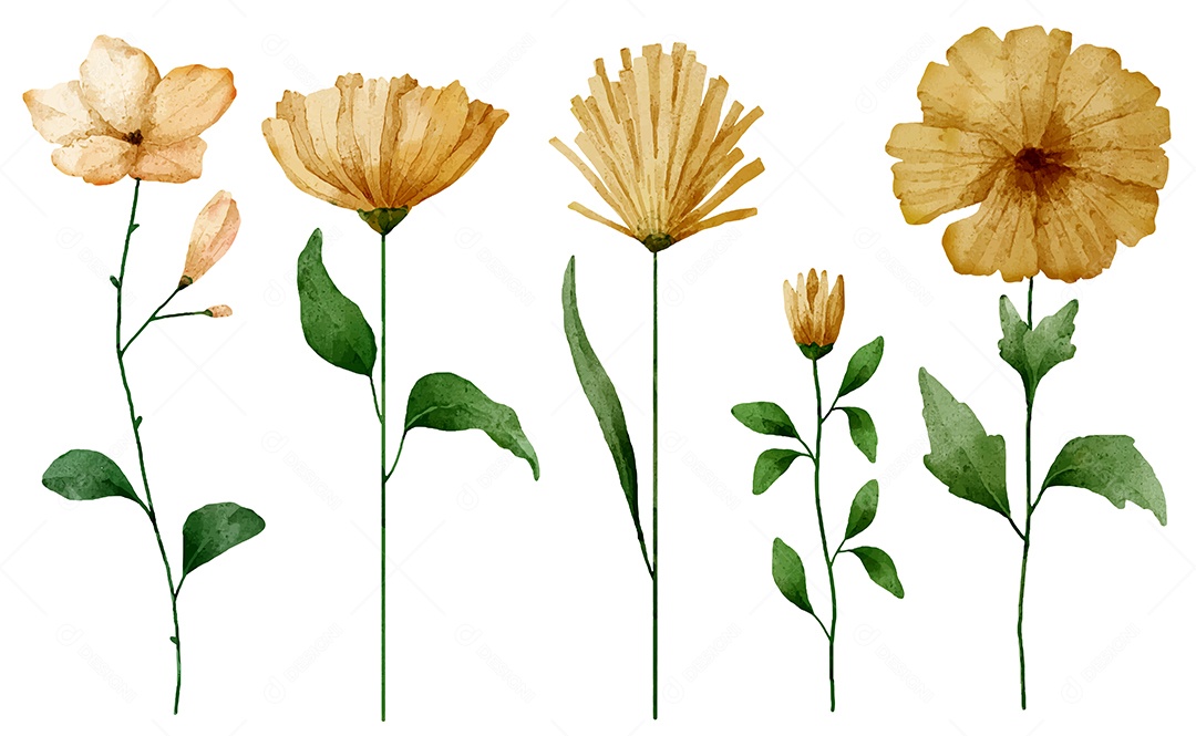 Beautiful bouquet of flowers and leave for decoration in water