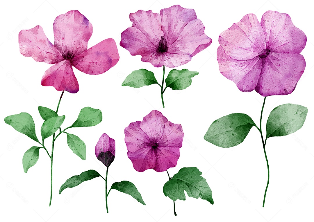 Lindo buquê de flores e deixe para decoração em água