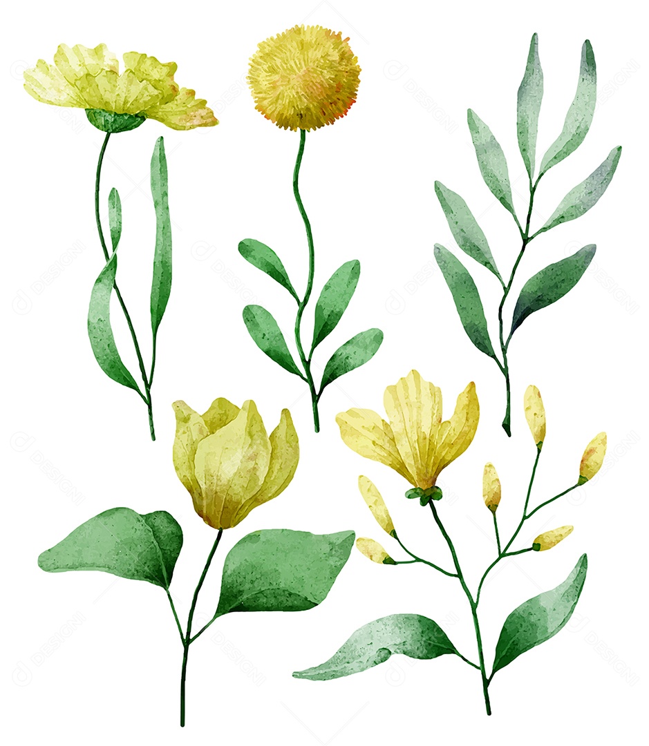 Lindo buquê de flores e deixe para decoração em água