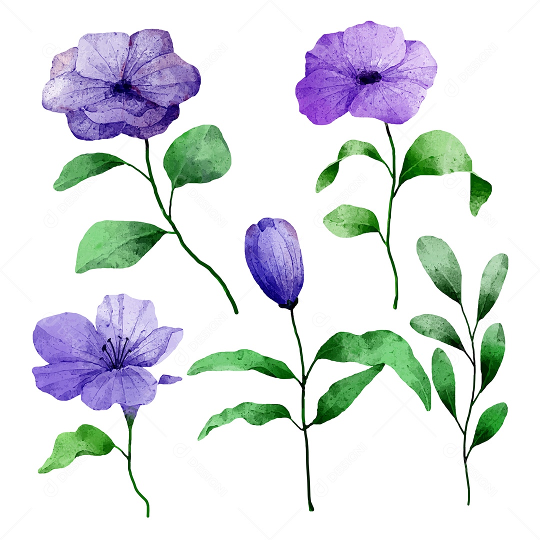 Lindo buquê de flores e deixe para decoração em água