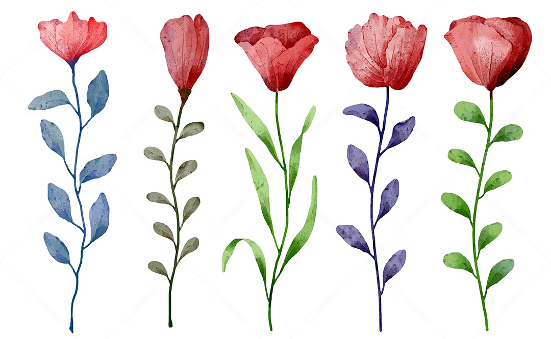 Lindo buquê de flores e deixe para decoração em água