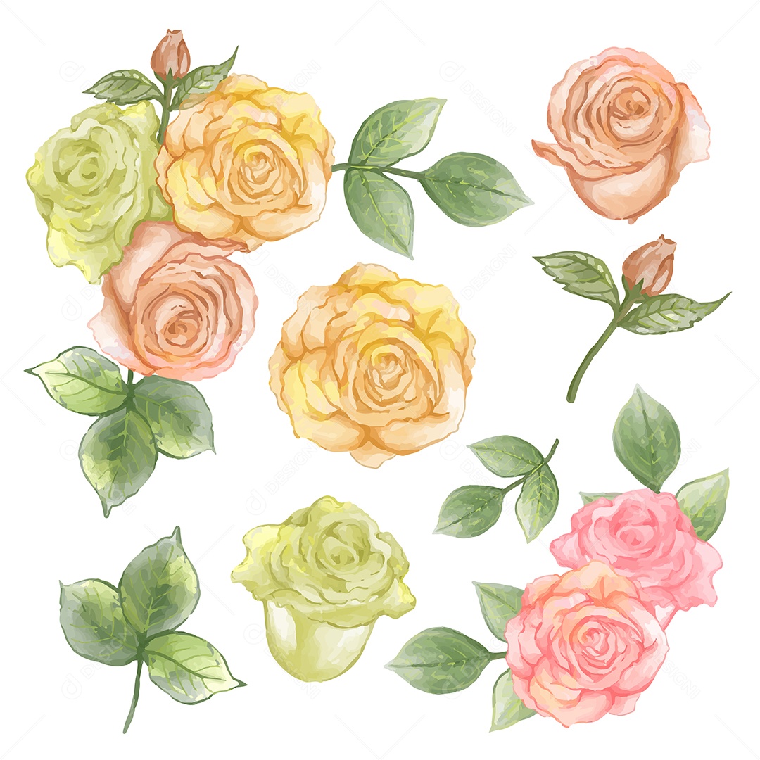 Lindo buquê de flores e deixe para decoração em água