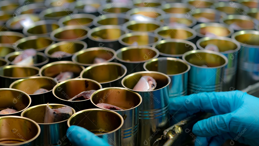 Fábrica de conservas de peixe. Indústria alimentícia. Produção de processamento de alimentos