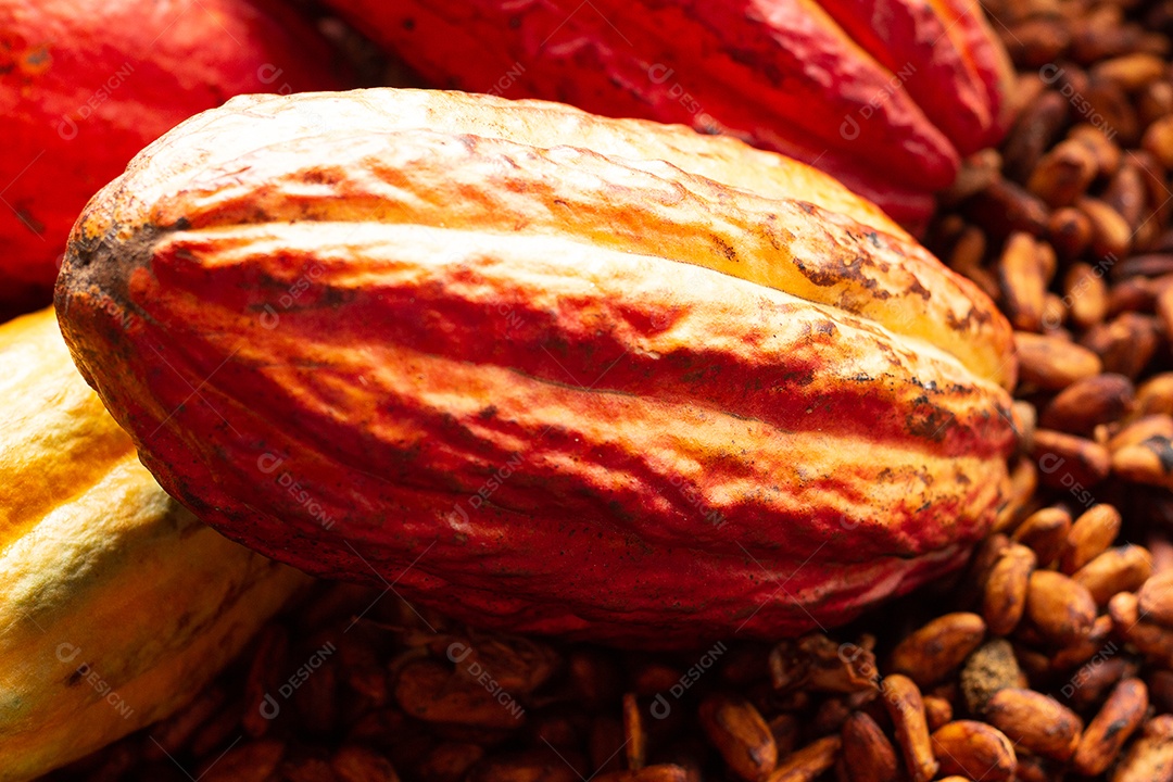 Cacau e sementes em uma tigela de palha