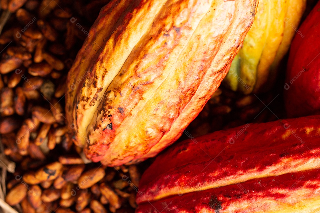 Cacau e sementes em uma tigela de palha