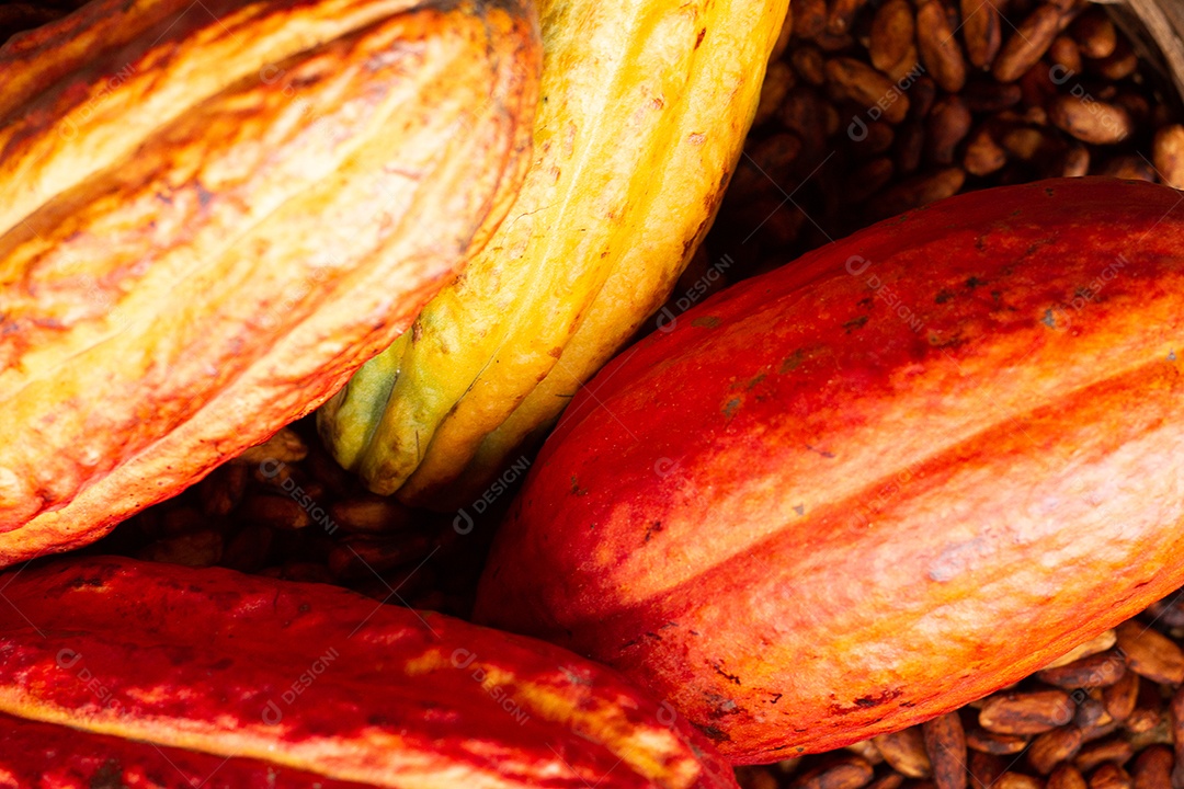 Cacau e sementes em uma tigela de palha