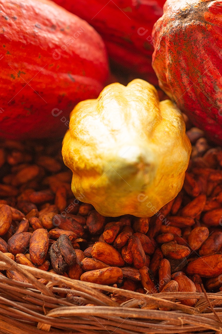 Cacau e sementes em uma tigela de palha