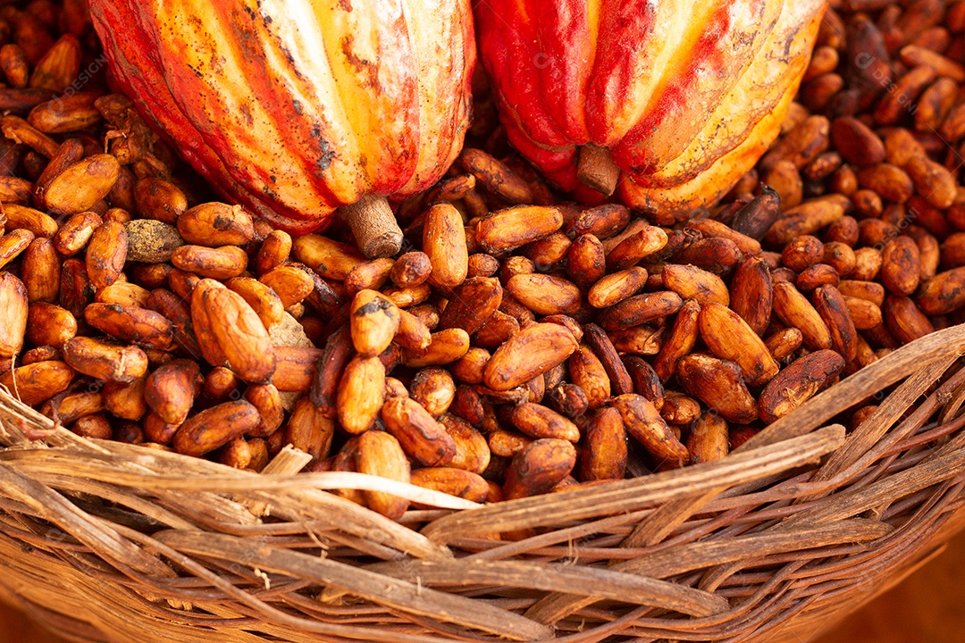 Cacau e sementes em uma tigela de palha