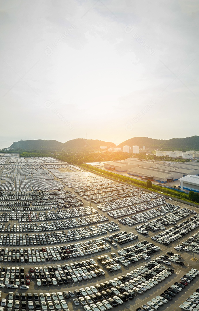 Muitos carros novos estacionando antes do envio para o cliente do revendedor, envio de carros para o navio Ro-Ro para exportação de importação Encaminhamento de frete, transporte logístico do revendedor de transporte Terminal de exportação de carros e