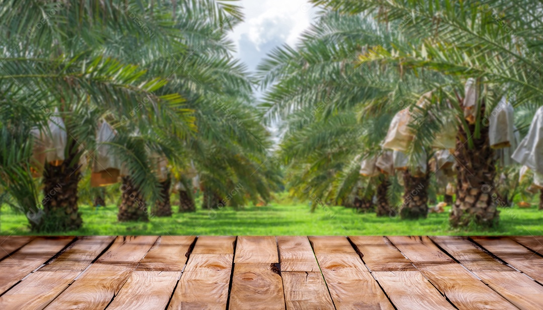 Belo piso de madeira e fundo verde da natureza do gramado