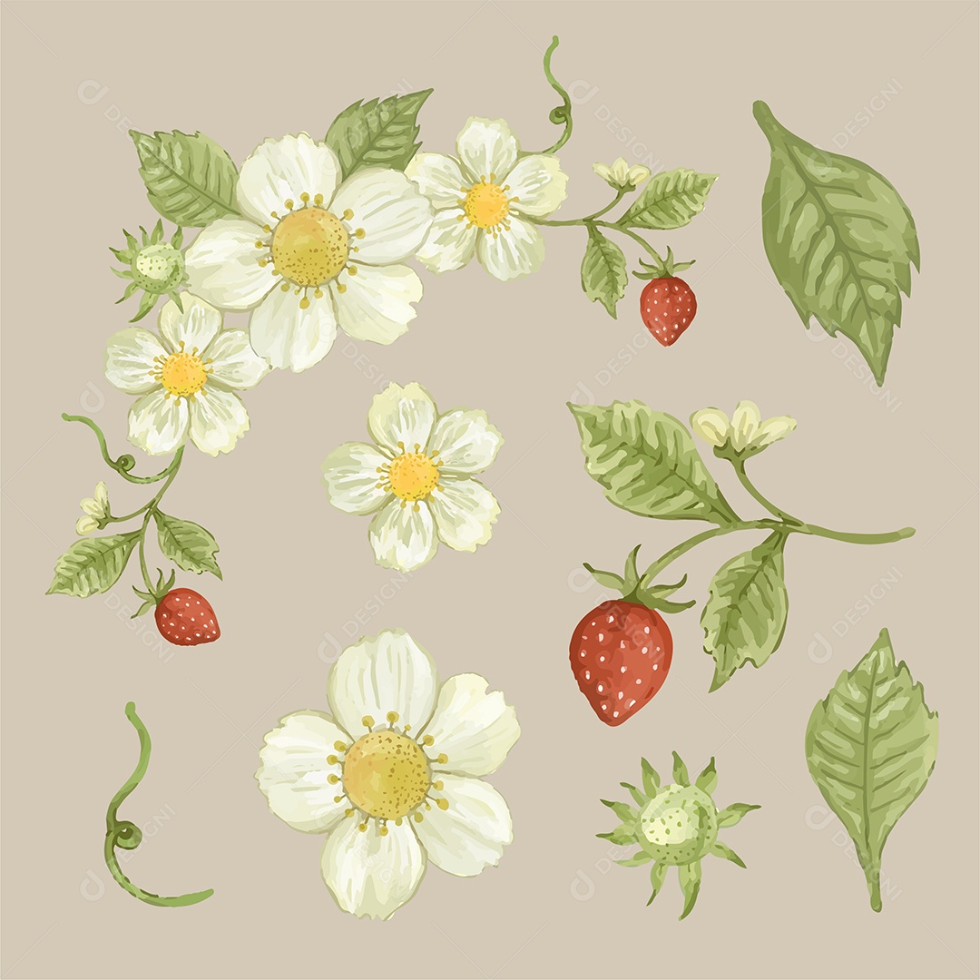 Lindo buquê de flores e deixe para decoração