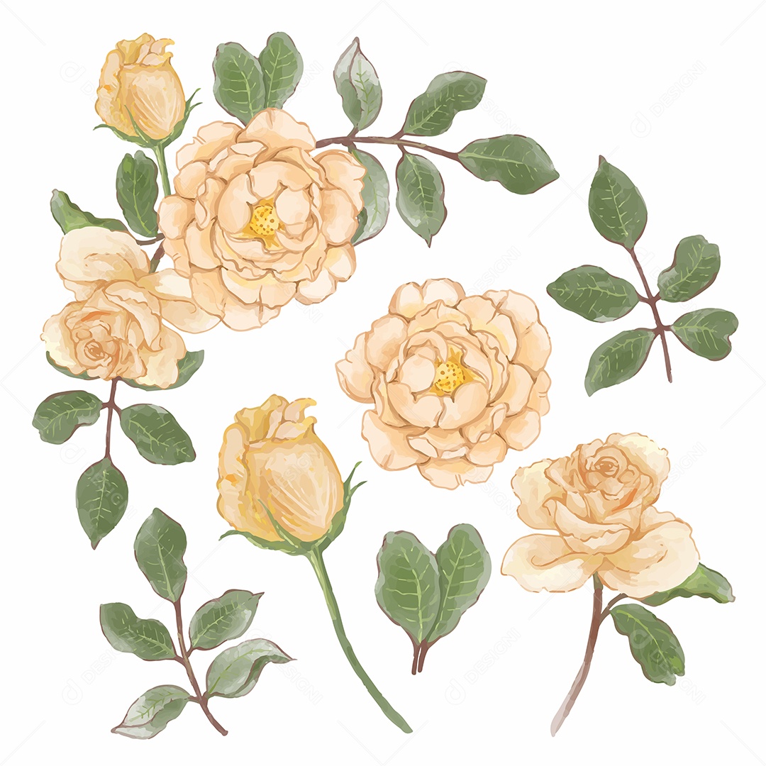 Lindo buquê de flores e deixe para decoração em água