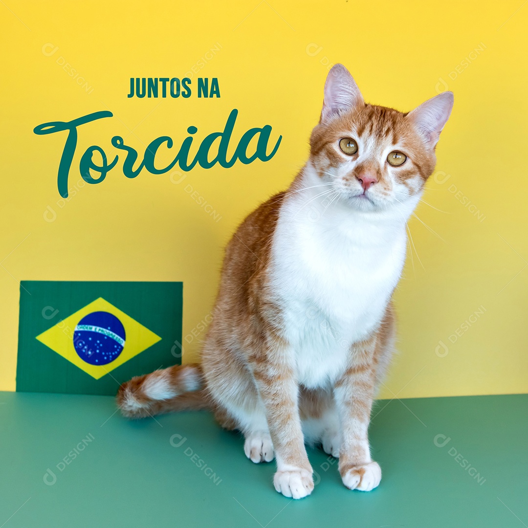 Gato amarelo ao lado da bandeira brasileira, 7 de setembro, eu do Brasil