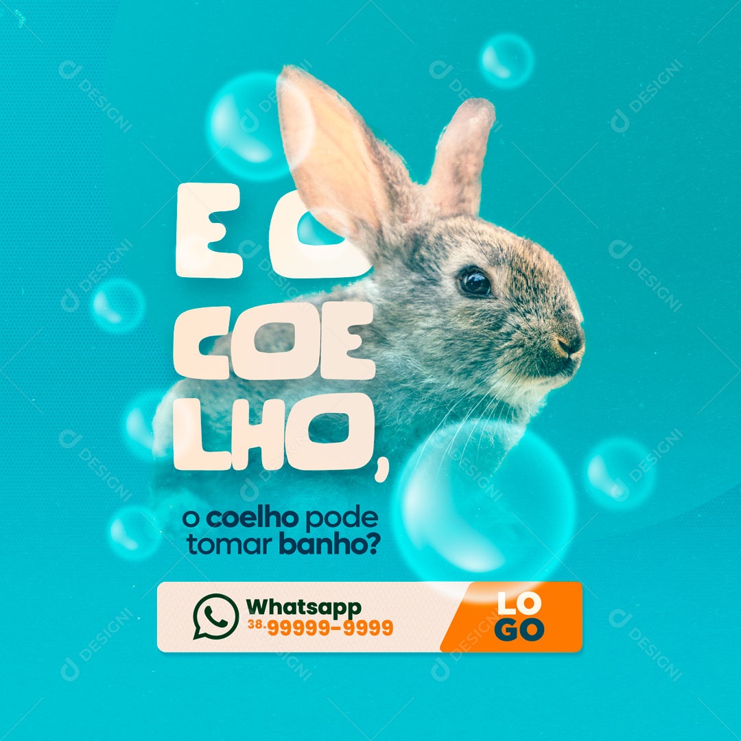 Coelho Pode Tomar Banho? Pet Shop Social Media PSD Editável
