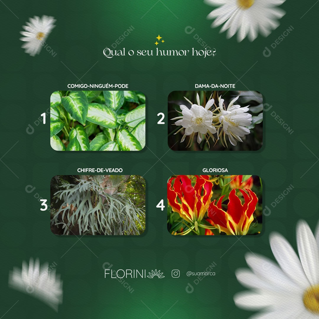 Qual o seu Humor Hoje? Floricultura Social Media PSD Editável