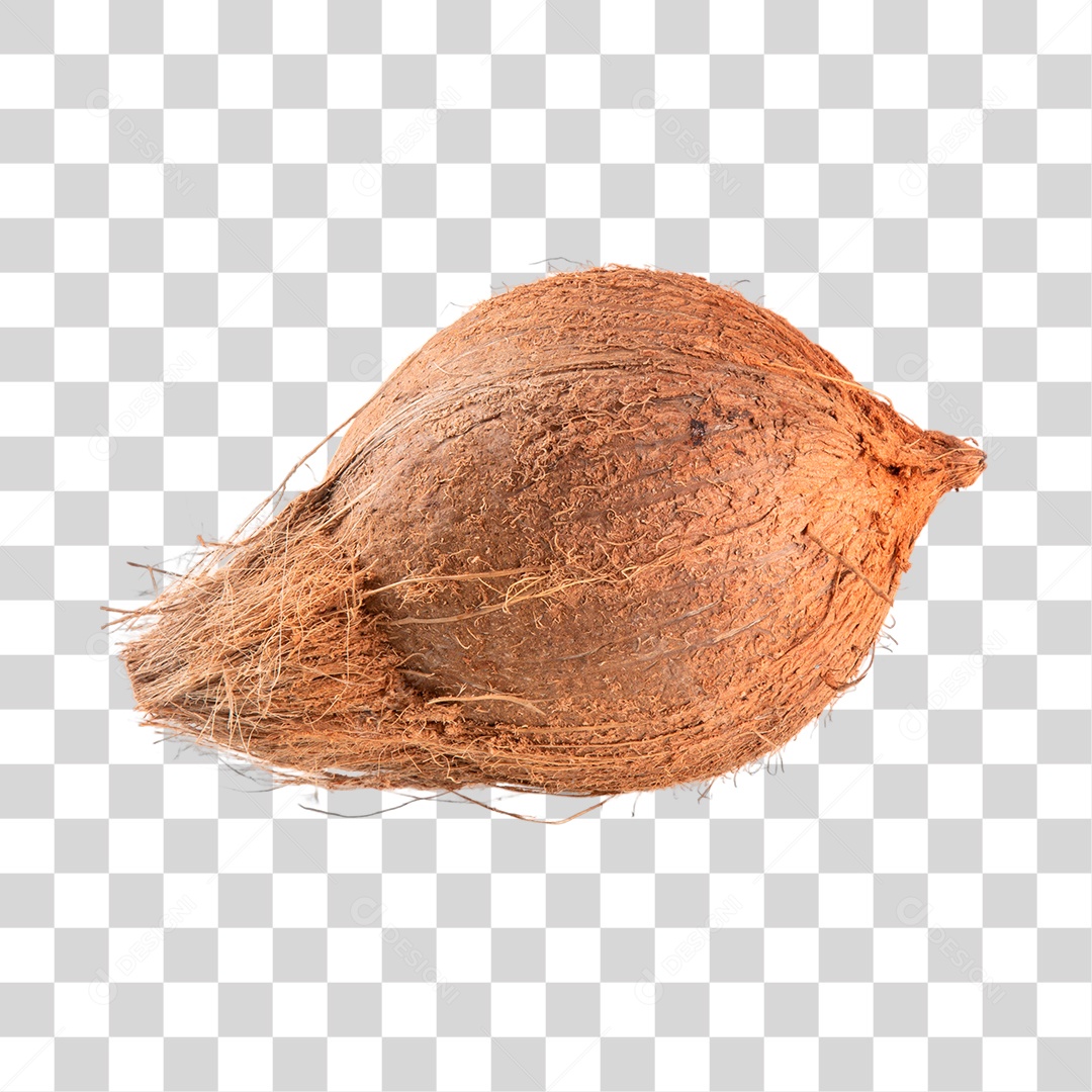 Coco Fechado PNG Transparente Sem Fundo