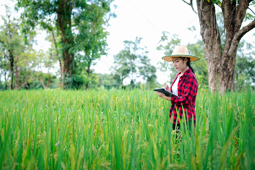 Mulher agricultora segurando um tablet e fazendo analise das plantações