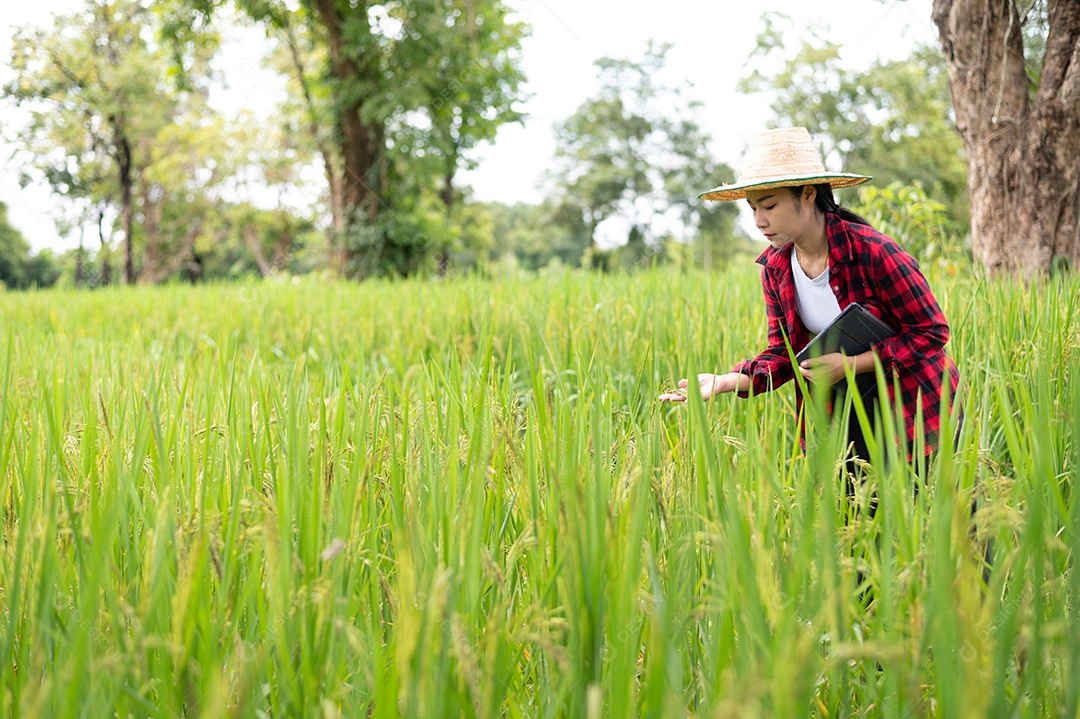 Mulher agricultora segurando um tablet e fazendo analise das plantações