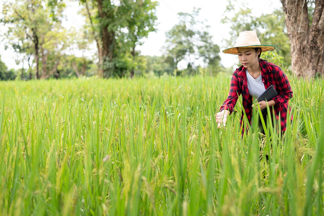 Mulher agricultora segurando um tablet e fazendo analise das plantações