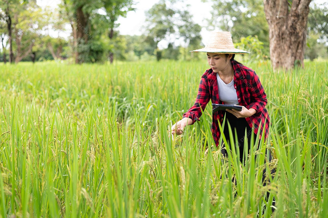 Mulher agricultora segurando um tablet e fazendo analise das plantações