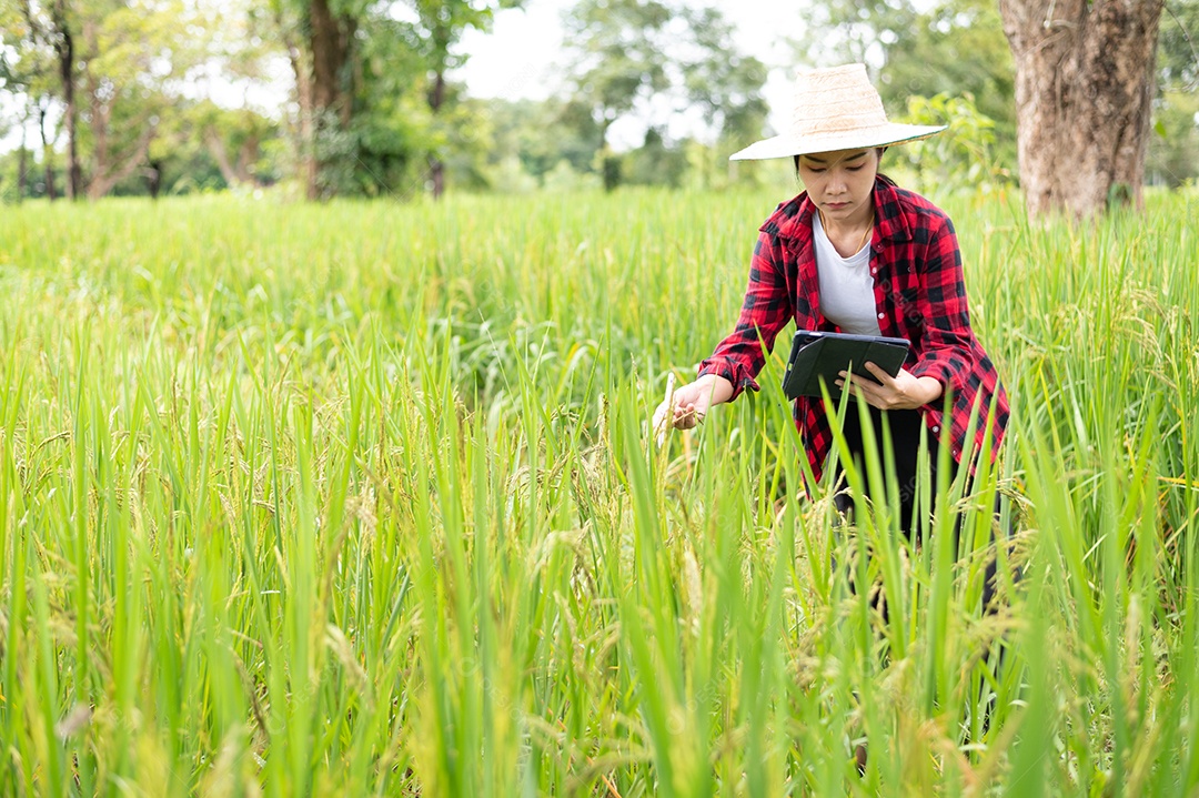 Mulher agricultora segurando um tablet e fazendo analise das plantações