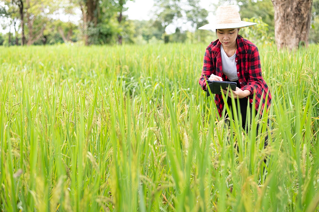 Mulher agricultora segurando um tablet e fazendo analise das plantações