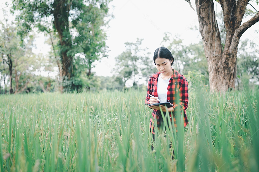 Mulher agricultora segurando um tablet e fazendo analise das plantações