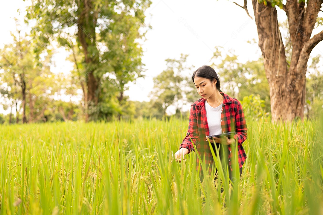 Mulher agricultora segurando um tablet e fazendo analise das plantações
