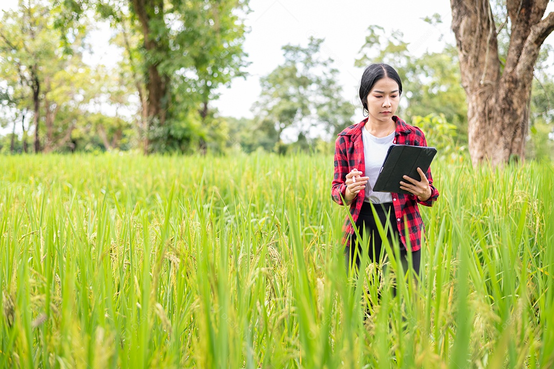 Mulher agricultora segurando um tablet e fazendo analise das plantações