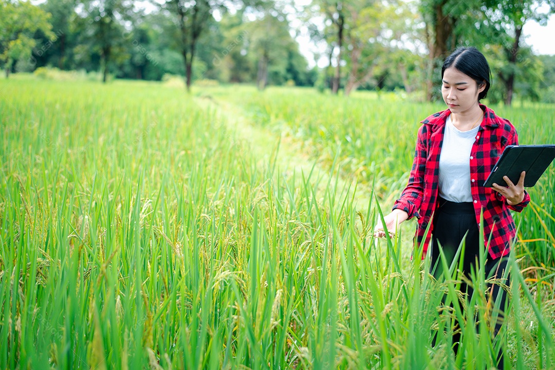Mulher agricultora segurando um tablet e fazendo analise das plantações